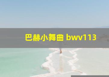 巴赫小舞曲 bwv113